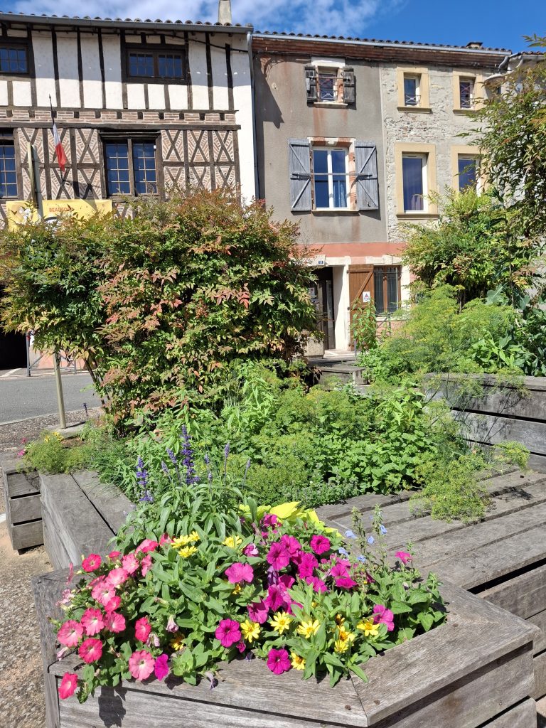 aromatiques en ville