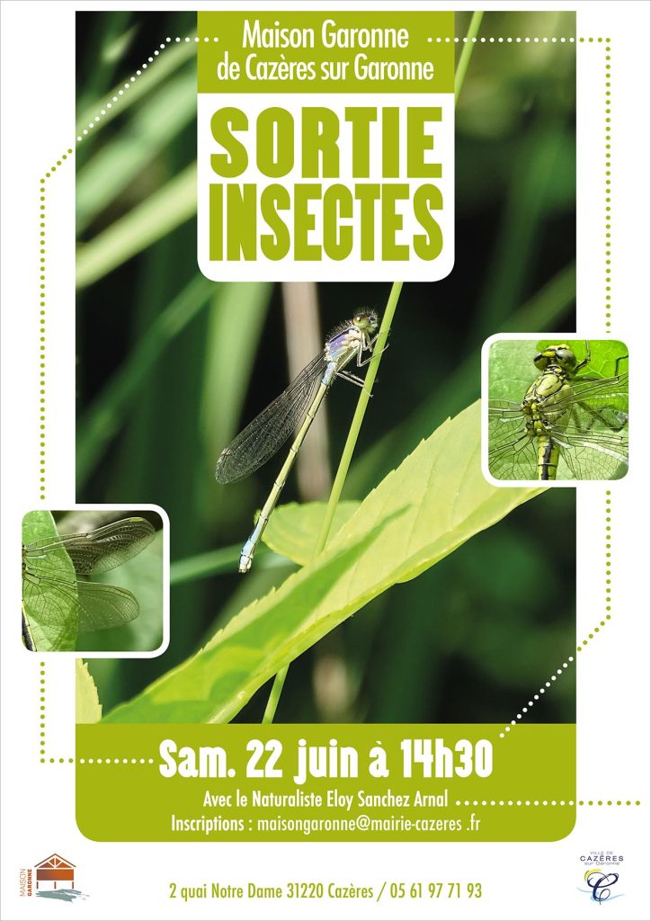 sortie insectes