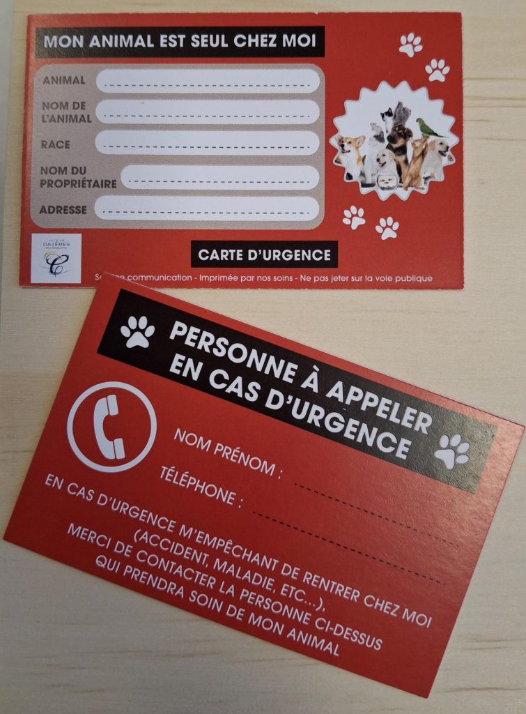 mon animal est seul chez moi